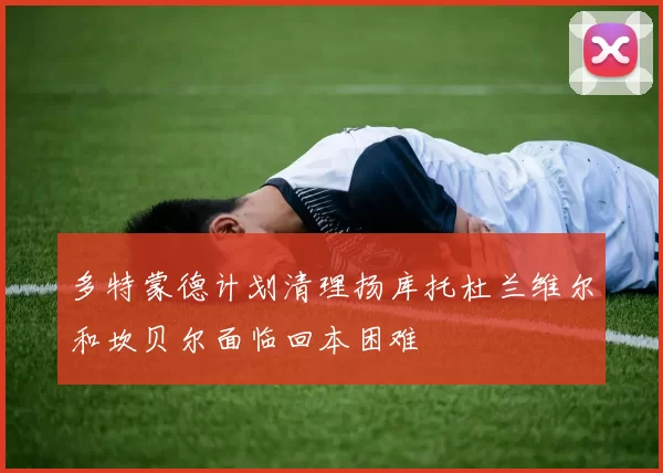 多特蒙德计划清理扬库托杜兰维尔和坎贝尔面临回本困难