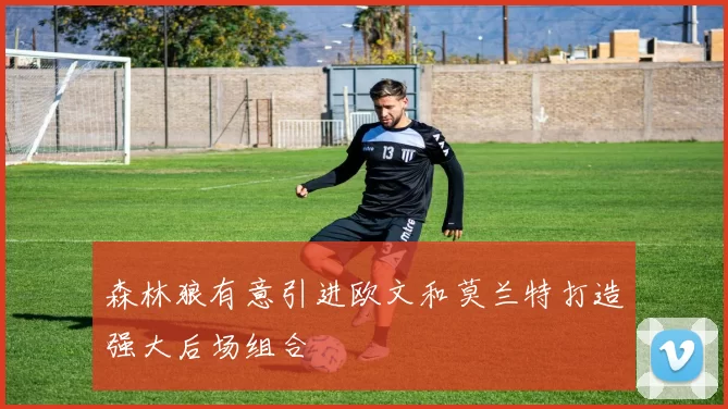 森林狼有意引进欧文和莫兰特打造强大后场组合